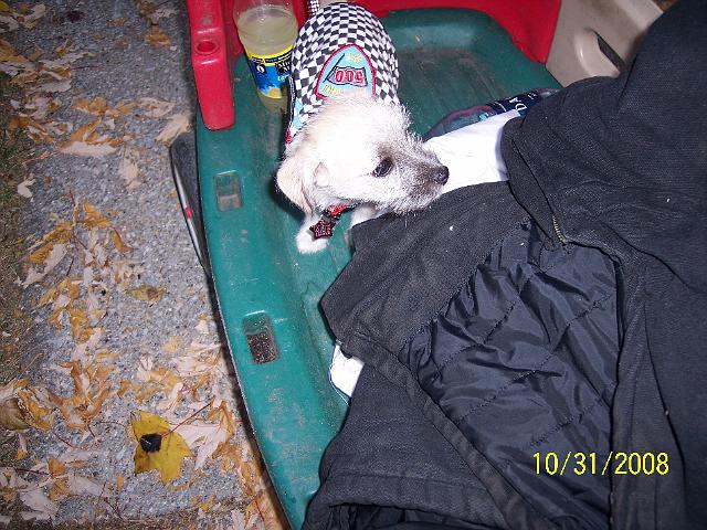 100_2070.JPG