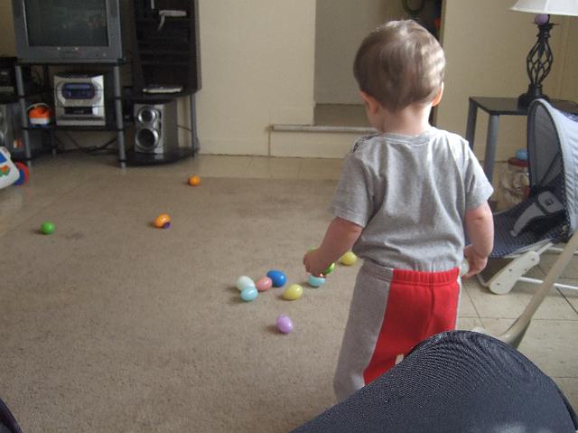 2008_0424morestuff0016.JPG