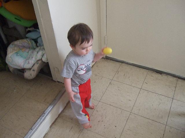 2008_0424morestuff0019.JPG