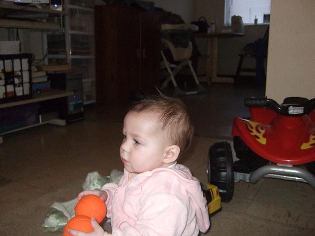 2008_0424morestuff0051.JPG