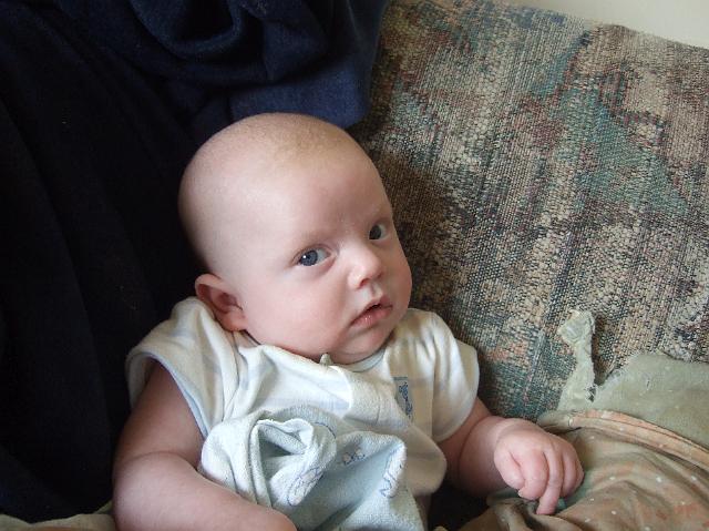 2008_0424morestuff0055.JPG