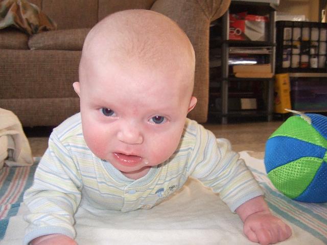 2008_0424morestuff0074.JPG