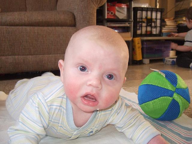 2008_0424morestuff0076.JPG