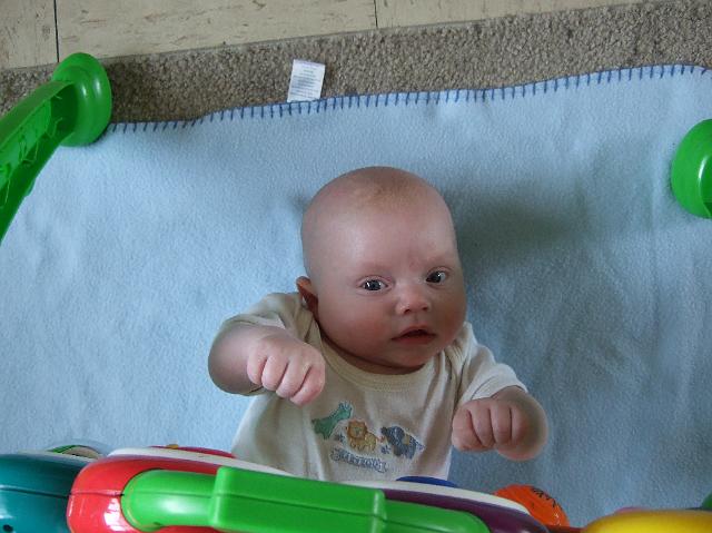 2008_0424morestuff0078.JPG