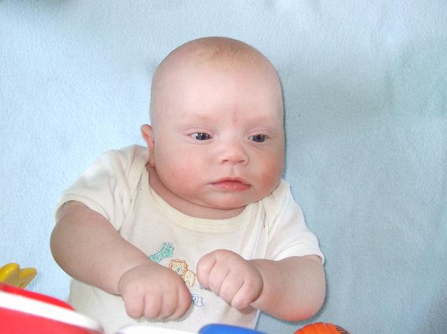 2008_0424morestuff0079.JPG