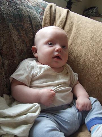 2008_0612morestuff0031.JPG