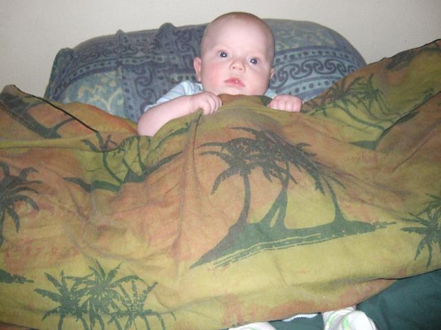 2008_0612morestuff0041.JPG
