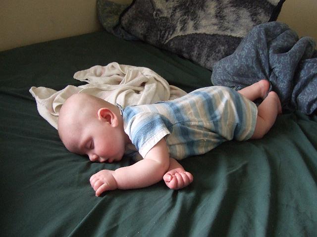 2008_0612morestuff0060.JPG