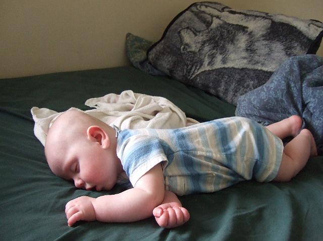 2008_0612morestuff0061.JPG
