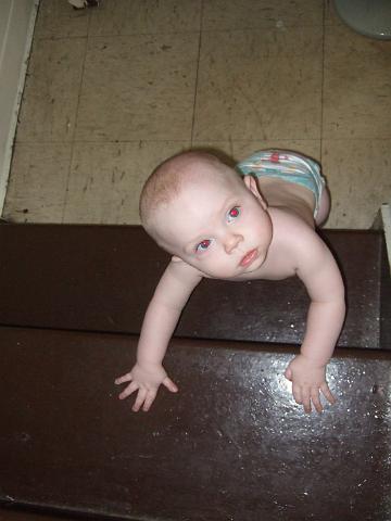 2008_1030boys0009.JPG