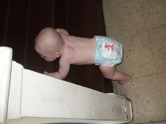 2008_1030boys0010.JPG