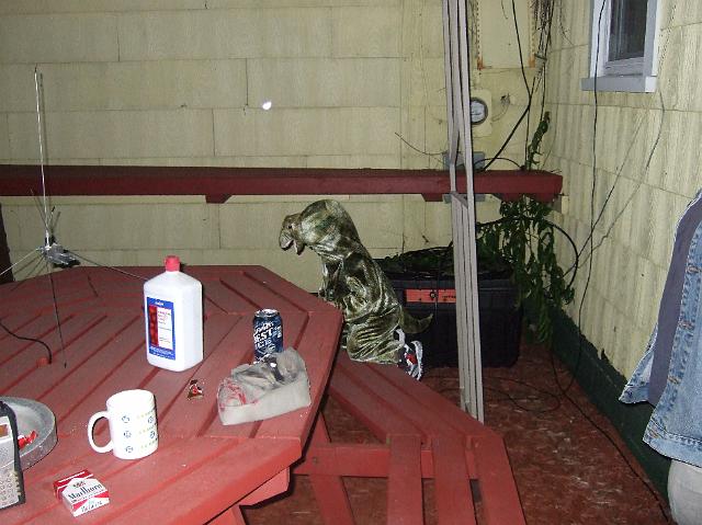 2008_1115Halloween0023.JPG