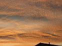 2008_1030boys0046