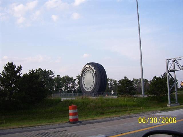 mypicture_338.jpg