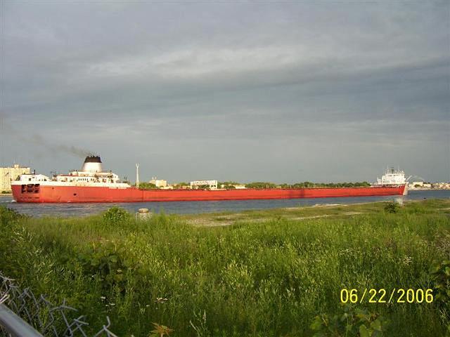 mypicture_355.jpg