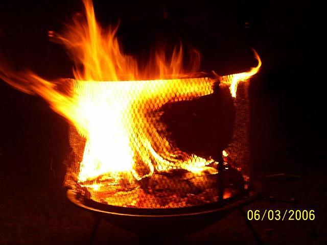 mypicture_409.jpg