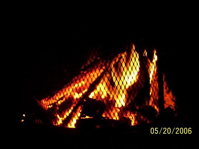 mypicture_436.jpg