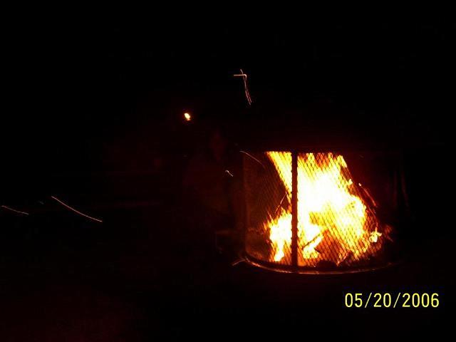 mypicture_442.jpg