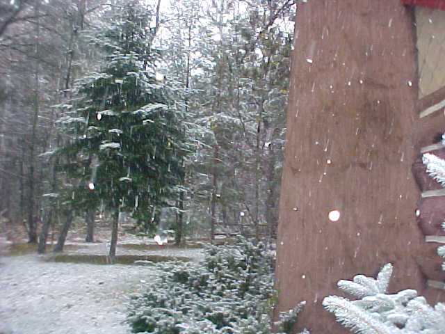 nov5.jpg