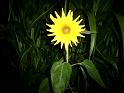 PICT0142
