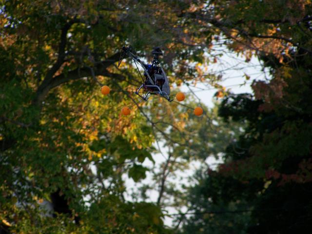 100_0623.JPG