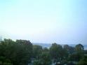 treetops